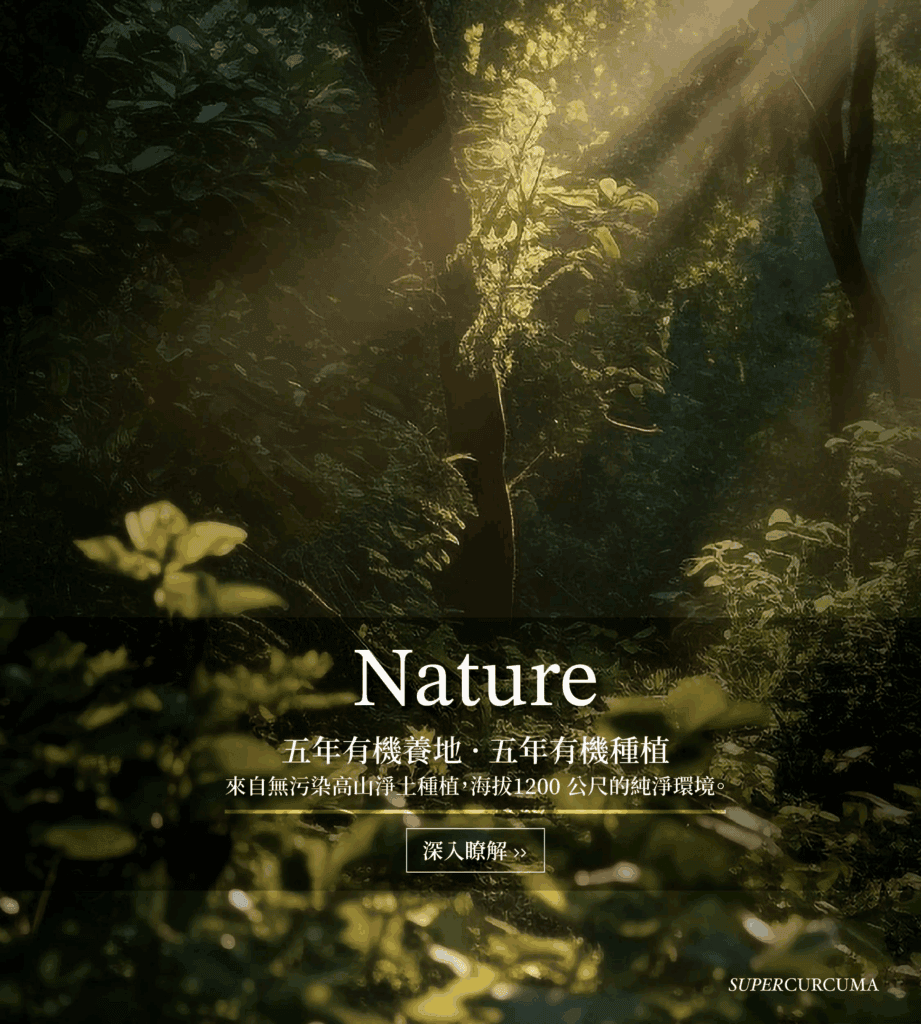父親節禮物推薦－薑黃王保健食品